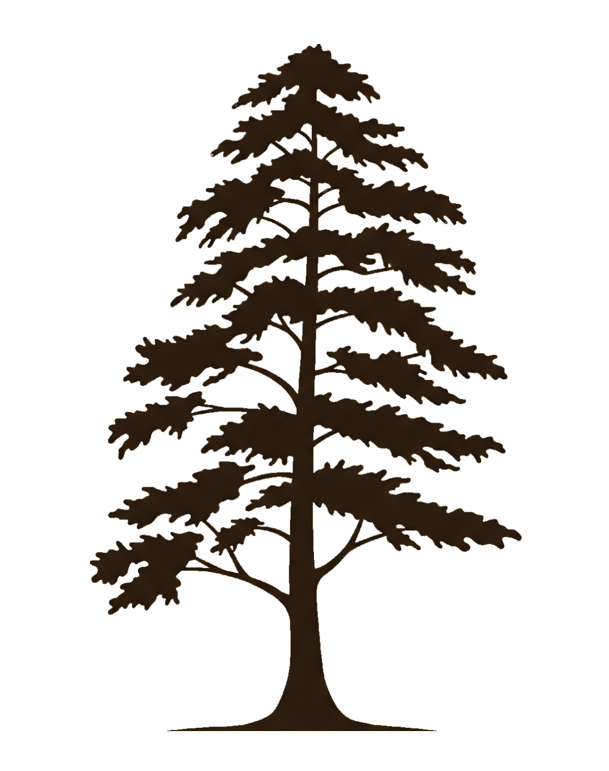 3CordSolutions_CypressLogoSolo