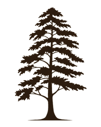 3CordSolutions_CypressLogoSolo 3CordSolutions_CypressLogoSolo